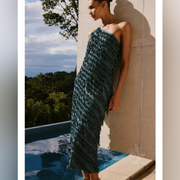 Zara Fringe Midi Dress - Picture 1 of 8
